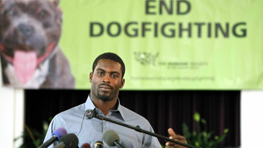 M Vick advocate
