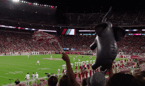 Bama gif