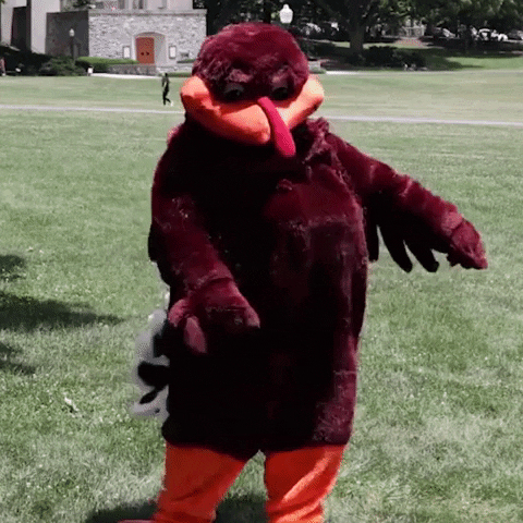 Hokiebird