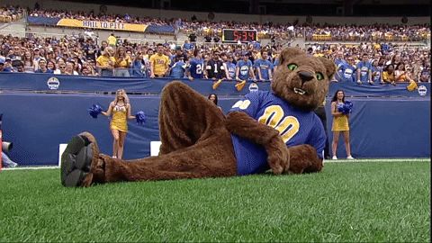 Pitt