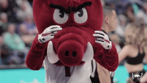 Woopig
